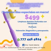 Promoción marzo 499
